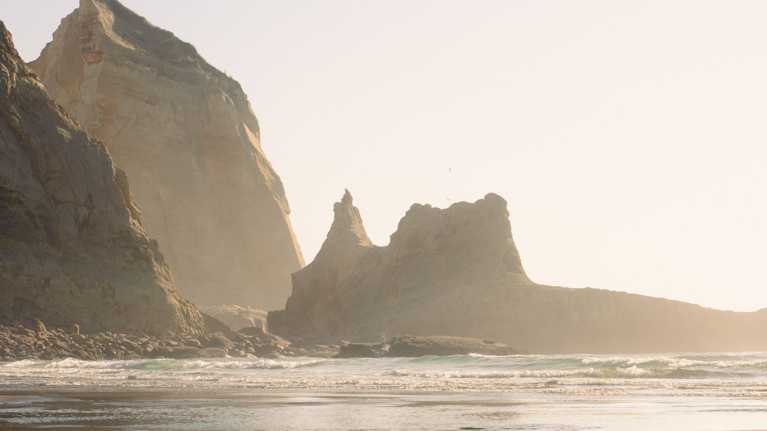 Backyard Birds Hero Image - Background 6